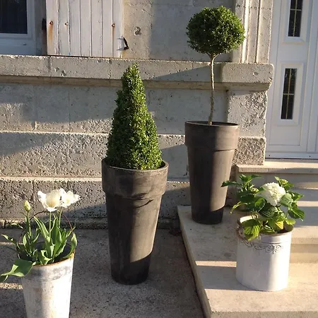 Le Manoir Bed & Breakfast Blanzac (Charente)