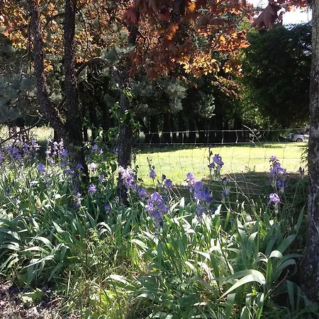 Le Manoir Bed & Breakfast *