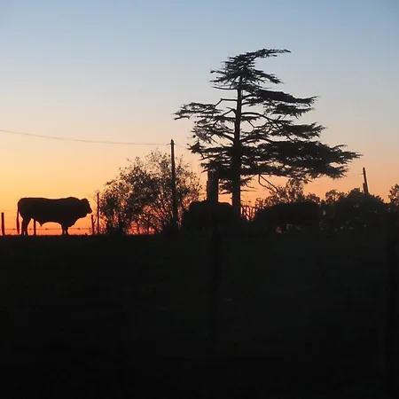 Le Manoir Bed & Breakfast Blanzac (Charente)